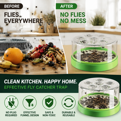 Reusable Non-Electric Fly Trap