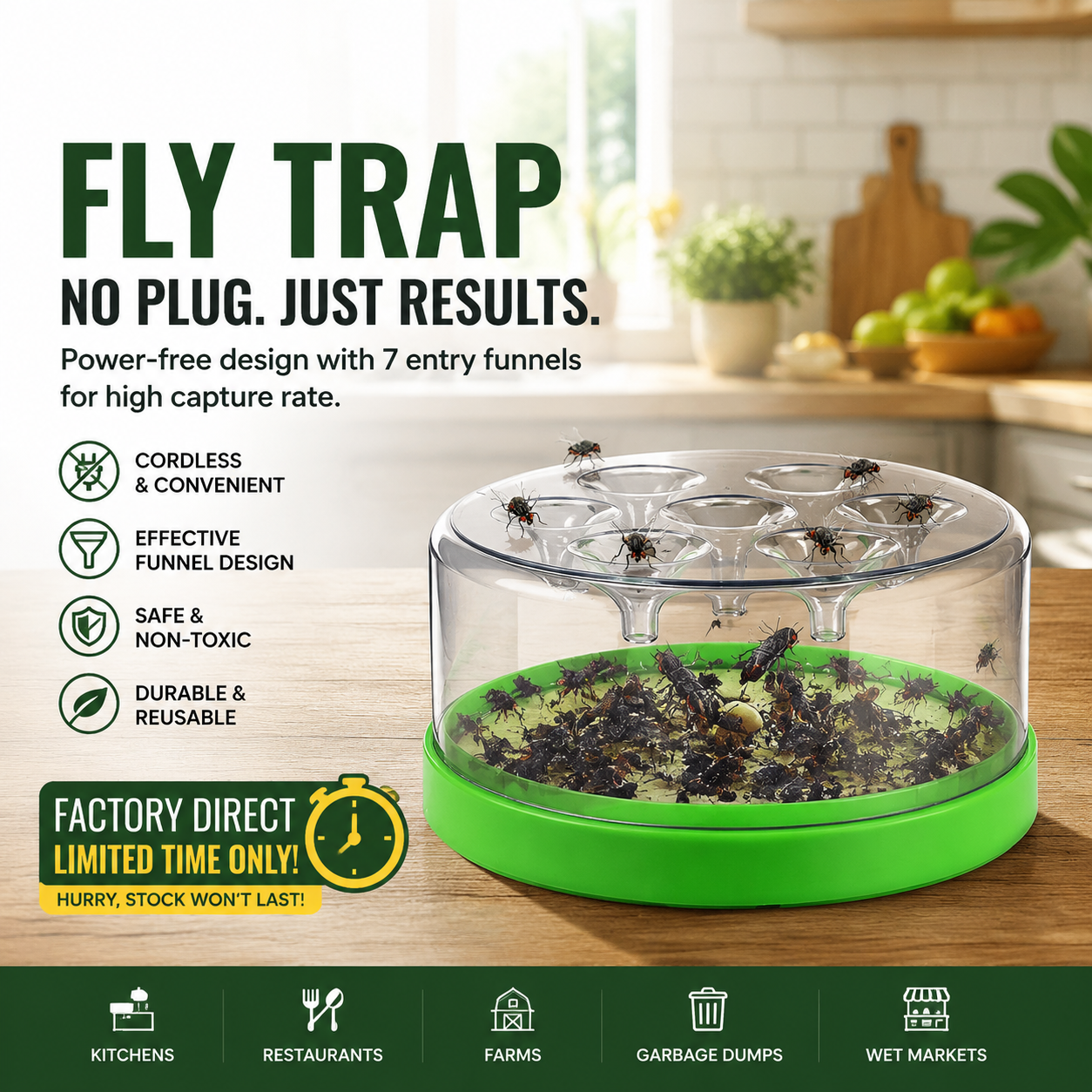 Reusable Non-Electric Fly Trap