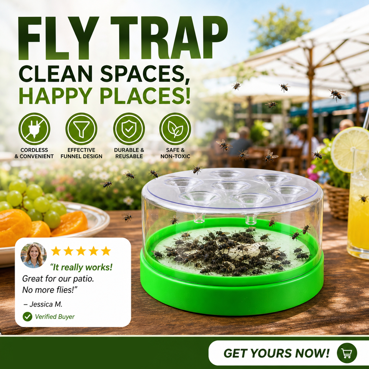 Reusable Non-Electric Fly Trap
