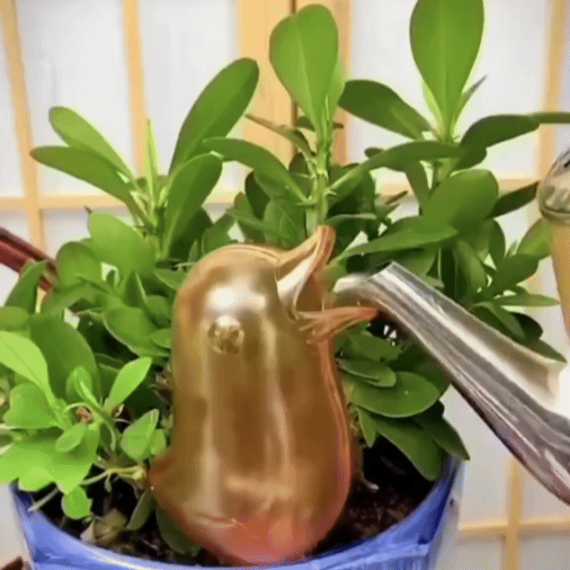 🐦Bird-Shaped Automatic Drip Irrigator
