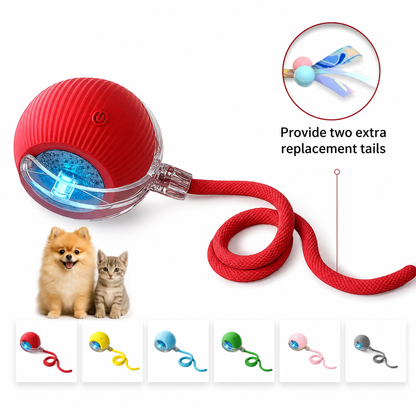 Interactive Rolling Cat & Dog Toy with Extra Tails