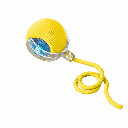 Interactive Rolling Cat & Dog Toy with Extra Tails